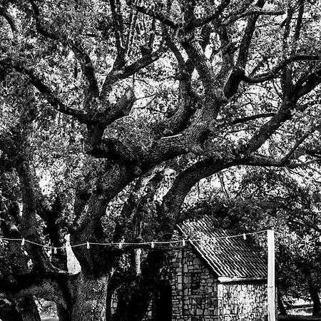 Отель Delle Querce Palo del Colle