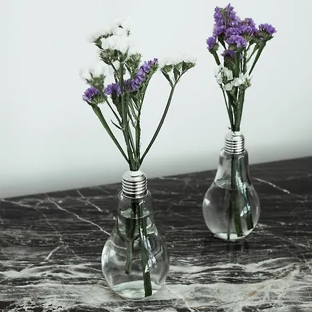 Delle Querce Palo del Colle