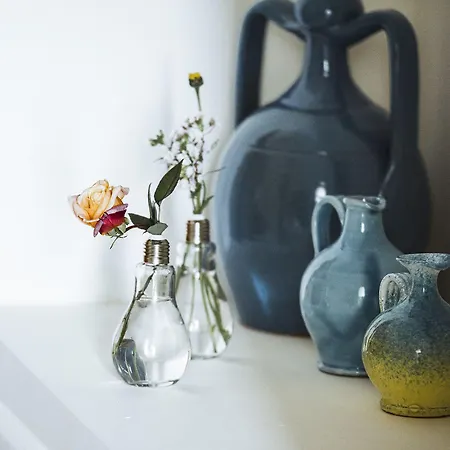 Delle Querce Palo del Colle