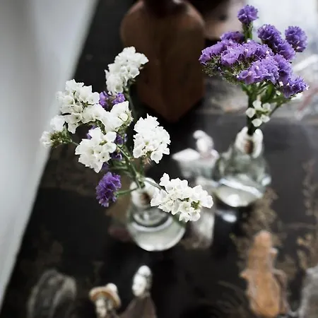 Hotel Delle Querce 4*