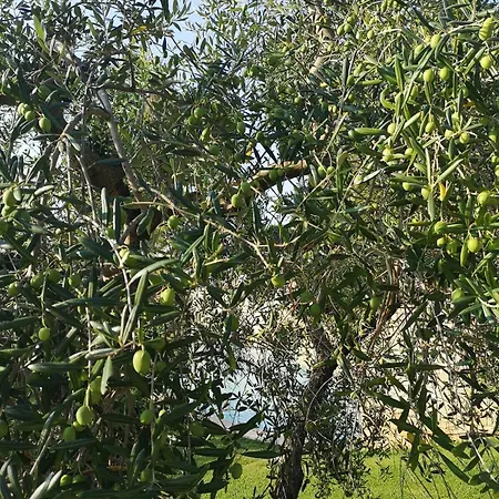 Delle Querce 4* Palo del Colle