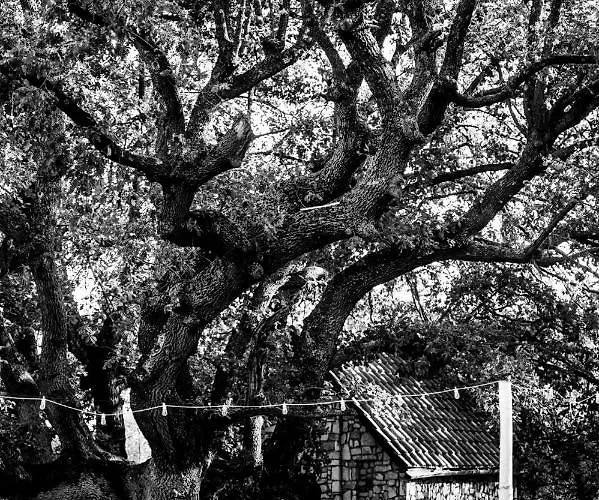 Отель Delle Querce Palo del Colle