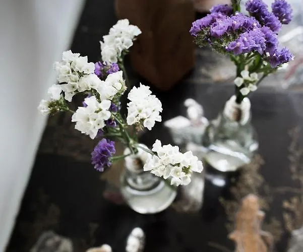 فندق Delle Querce 4*