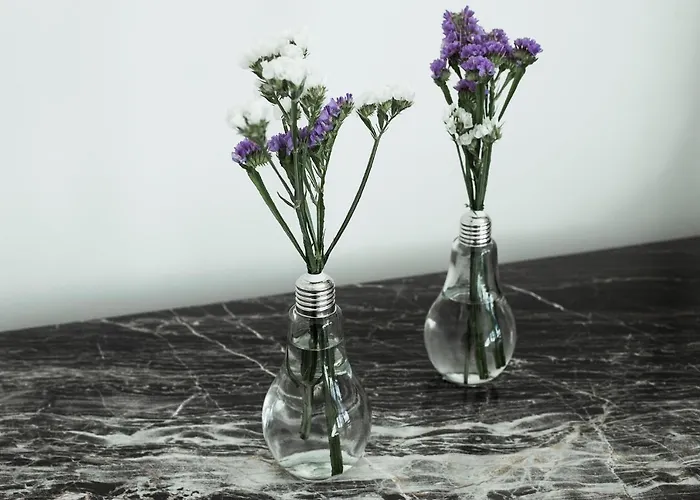 Delle Querce Palo del Colle