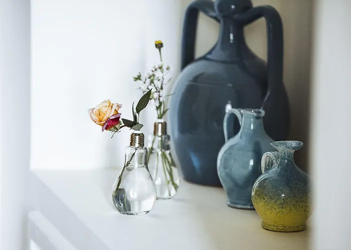 Delle Querce Palo del Colle